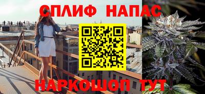 МДПВ Будённовск